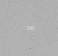 Линолеум Forbo Marmoleum Solid Cocoa 3582-358235 earl grey chocolate фото 1 | FLOORDEALER